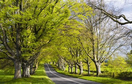 Wimborne Minster bridge